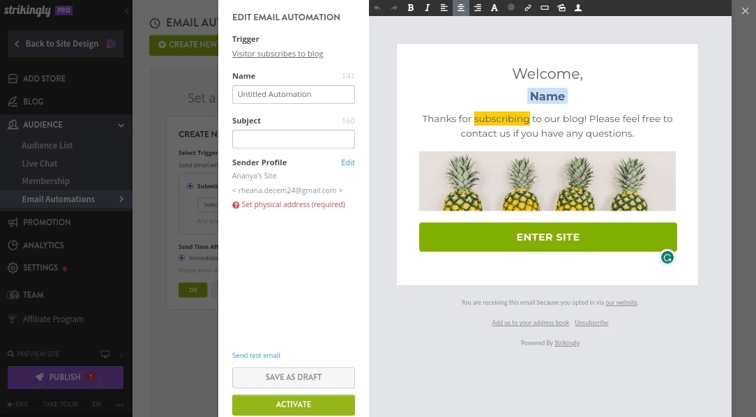 null Email automation editing on Strikingly